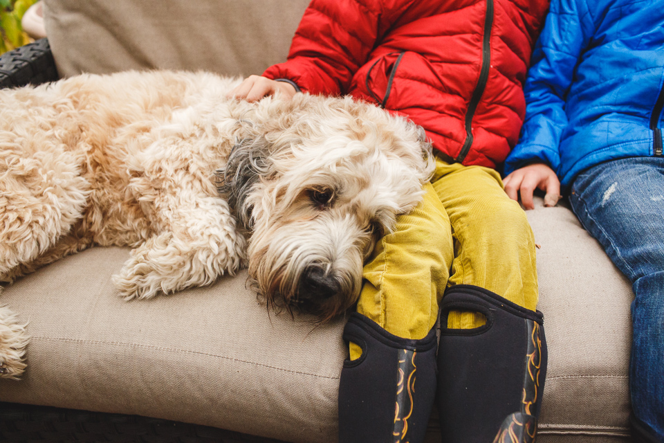 Colorado family photographer, Denver family photojournalism, Documentary family photography, Family photojournalism, Day In the Life photography, In home photo session, Denver family photographer, Family photo ideas, Family picture inspiration, Uniq…