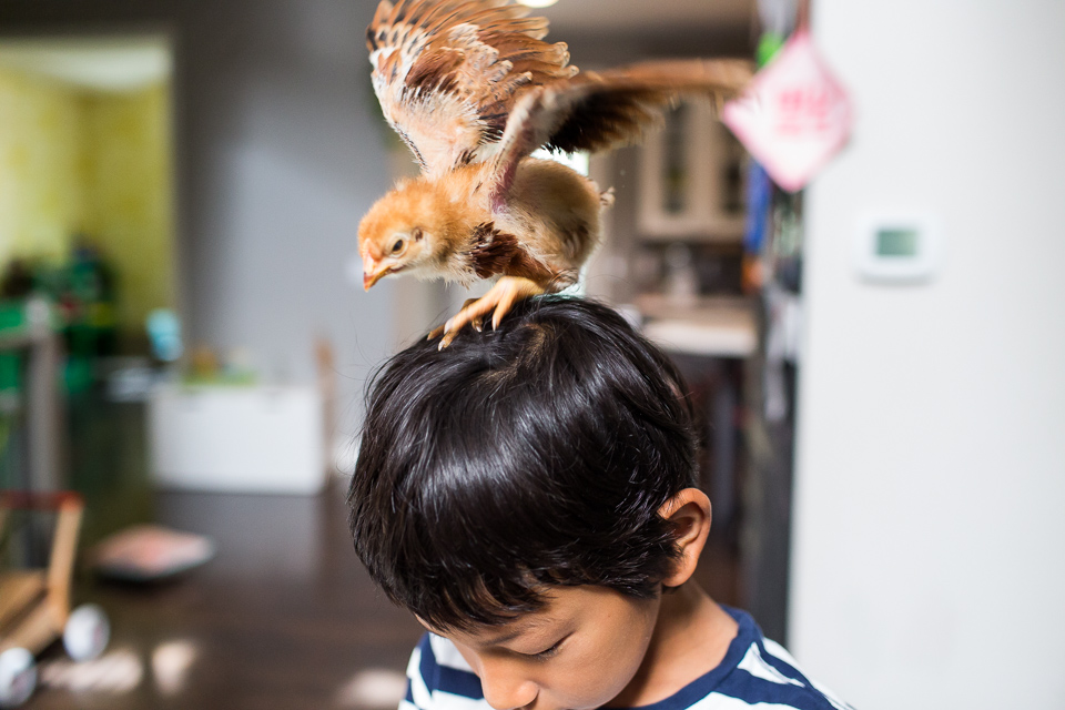 Colorado family photographer, Denver family photojournalism, Documentary family photography, Family photojournalism, Day In the Life photography, In home photo session, Denver family photographer, Family photo ideas, Family picture inspiration, Uniq…