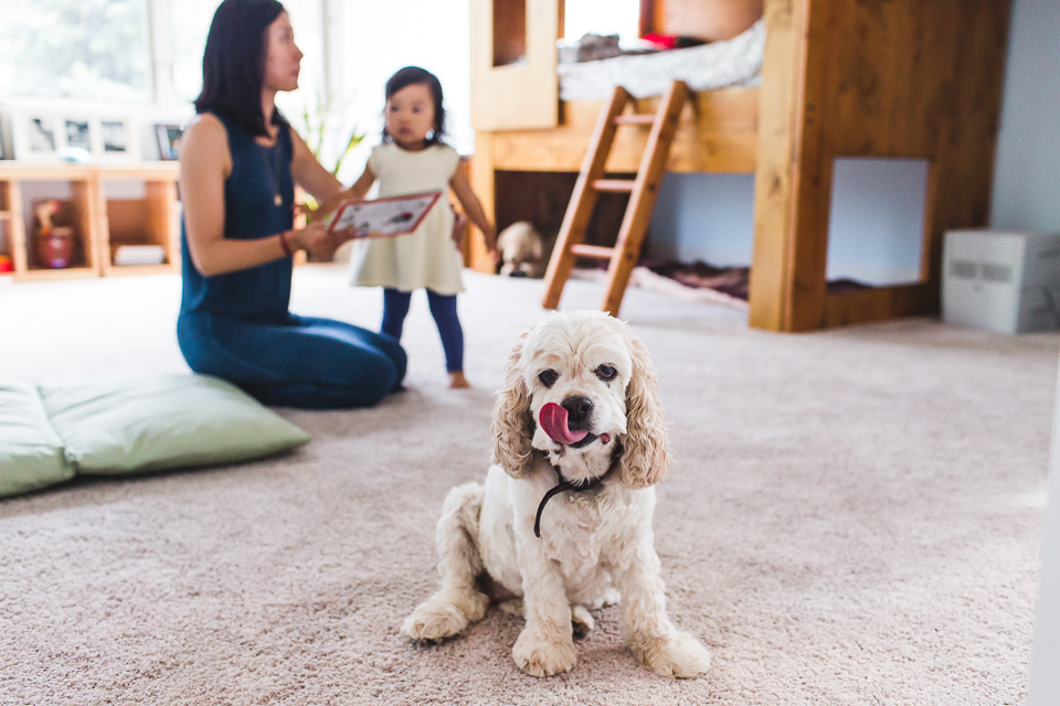 Colorado family photographer, Denver family photojournalism, Documentary family photography, Family photojournalism, Day In the Life photography, In home photo session, Denver family photographer, Family photo ideas, Family picture inspiration, Uniq…