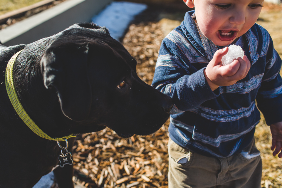 Colorado family photographer, Denver family photojournalism, Documentary family photography, Family photojournalism, Day In the Life photography, In home photo session, Denver family photographer, Family photo ideas, Family picture inspiration, Uniq…