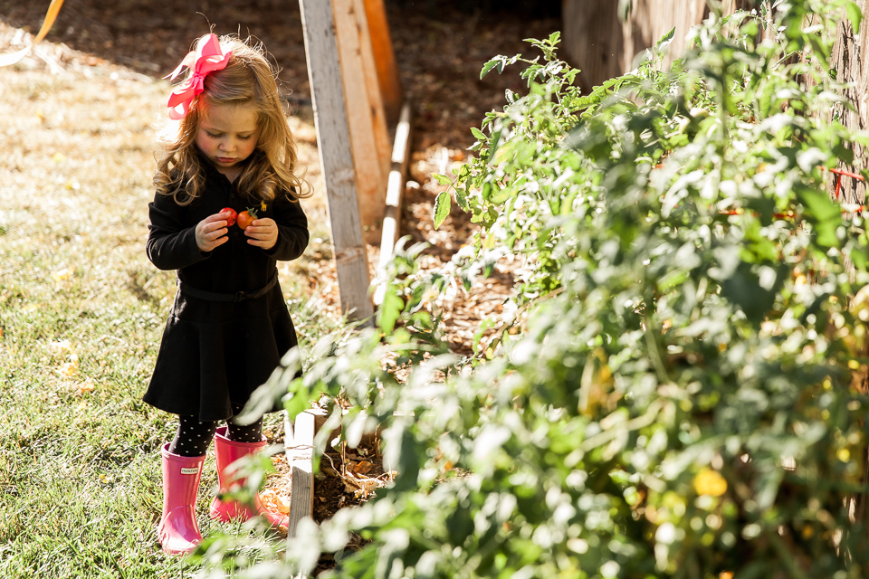 documentary family photographer denver colorado