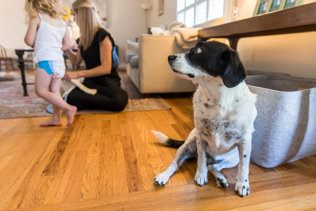 Dog looking nervous with kids running around during in-home photo session.