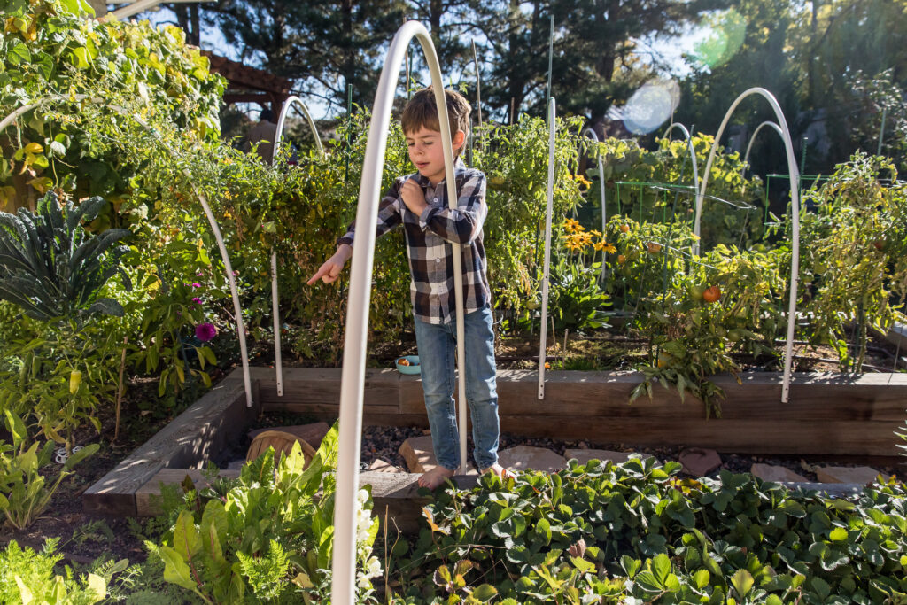 Boy pointing out vegetables he helped grow in his backyard garden, surrounded by green plants.